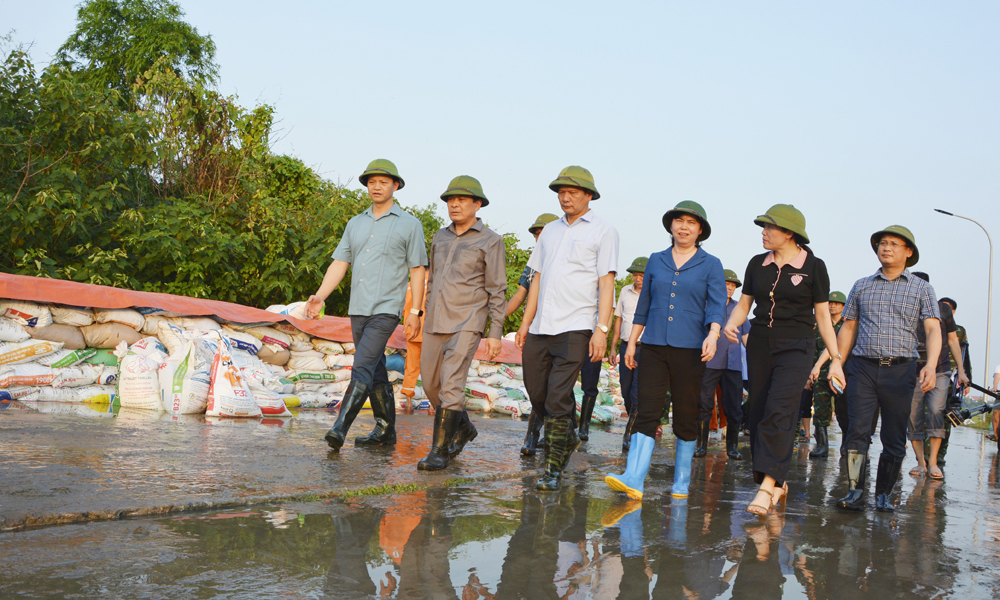 Đồng chí Vương Quốc Tuấn cùng các đồng chí lãnh đạo  kiểm tra công tác chống tràn tại tuyến đê bối Đẩu Hàn, phường Kinh Bắc.