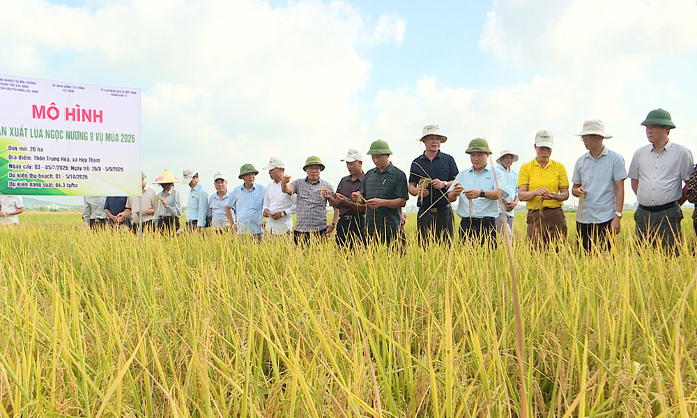 Các đại biểu tham quan mô hình.