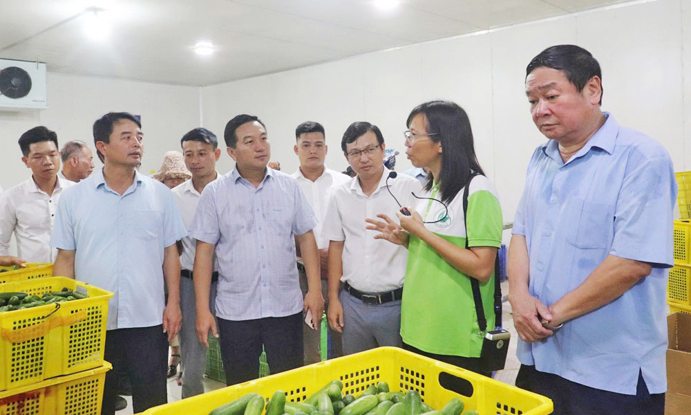 Lãnh đạo Hội Nông dân thành phố thăm khu chế biến của Công ty trách nhiệm hữu hạn rau sạch Yên Dũng (phường Cảnh Thụy).