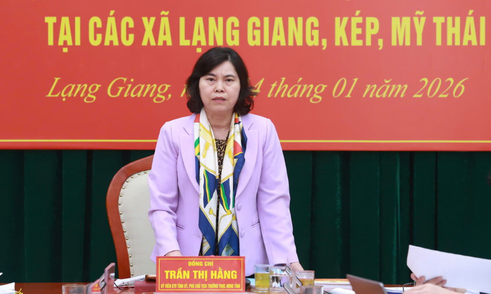 Đồng chí Trần Thị Hằng kết luận hội nghị.