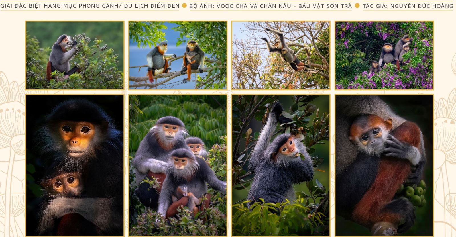 Bộ ảnh đoạt giải đặc biệt hạng mục Phong cảnh - Du lịch điểm đến năm 2024 của Giải thưởng Nhiếp ảnh Heritage - Hành trình di sản. Ảnh: BTC