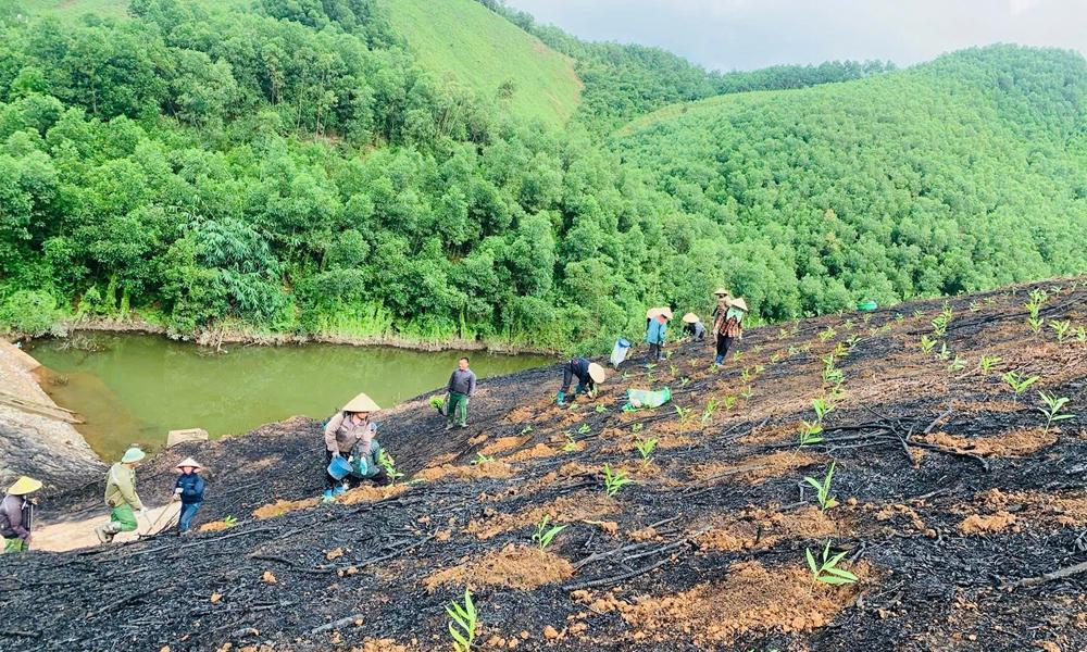 Người dân thôn Thoi, xã Dương Hưu tranh thủ thời tiết thuận lợi để trồng rừng kinh tế.