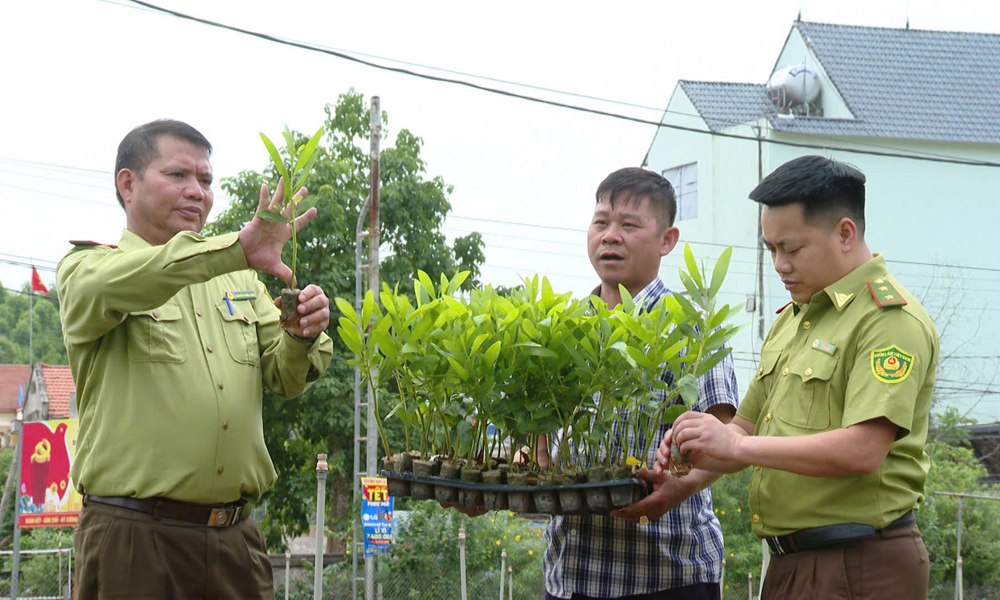 Ông Nguyễn Quang Phục, thôn Nhân Định, xã Yên Định chia sẻ kinh nghiệm sản xuất cây lâm nghiệp bằng bầu tự hủy.