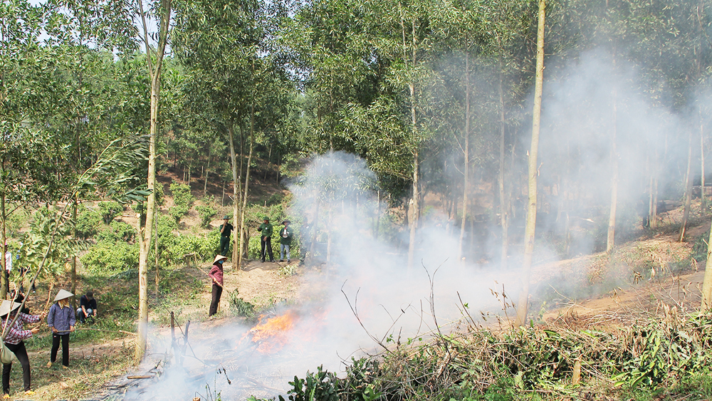 Thực hiện nghiêm các biện pháp phòng cháy, chữa cháy rừng nhằm giảm thiểu số vụ và diện tích thiệt hại

do cháy rừng gây ra. Ảnh minh họa.
