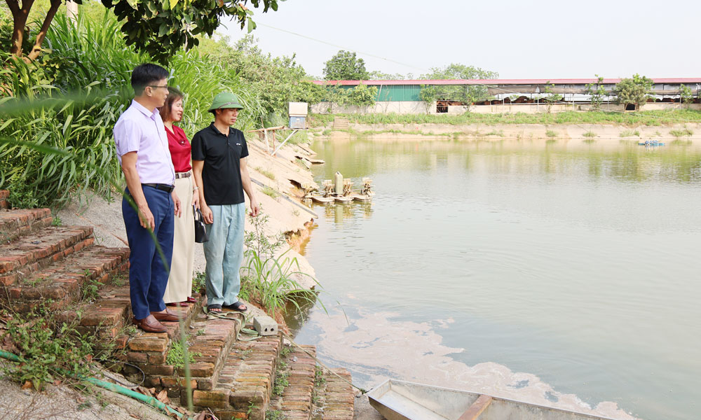 Lãnh đạo Trung tâm khuyến nông tỉnh kiểm tra mô hình nuôi cá trắm cỏ tại hộ ông Trần Thế Hậu, phường Yên Dũng.