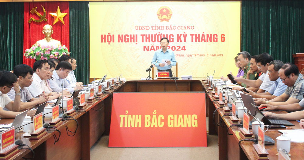 Đồng chí Lê Ánh Dương phát biểu tại hội nghị.