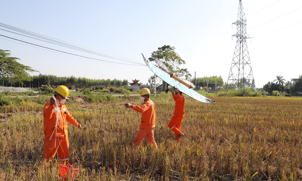 Công nhân Điện lực Tân Yên thu hạ diều tại địa bàn xã Tân Yên.