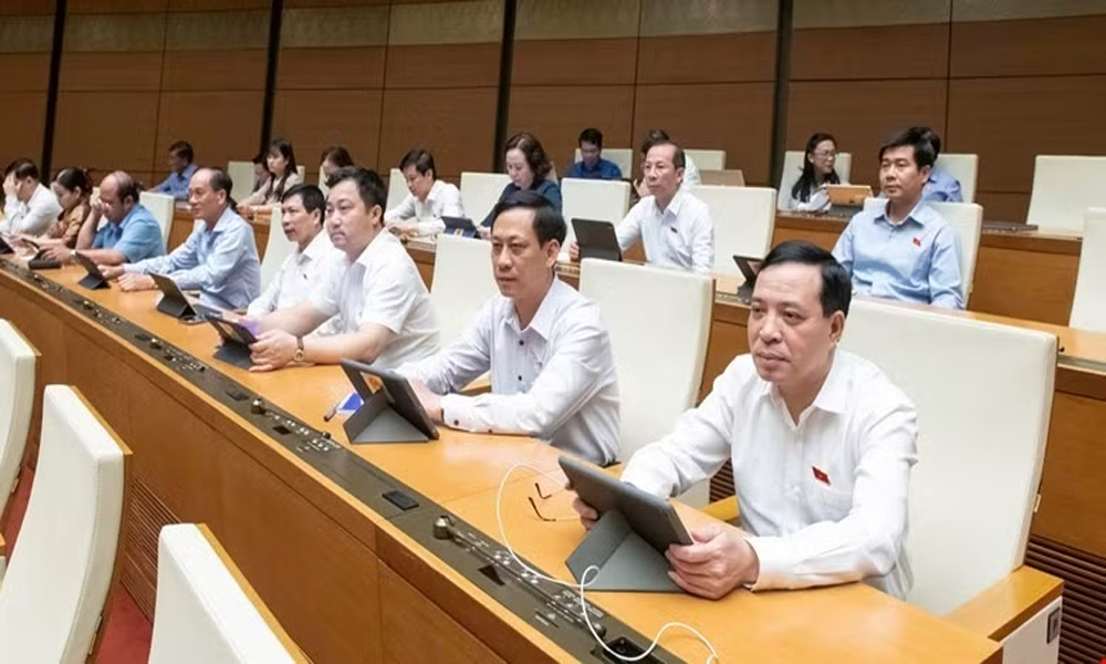 Người được tuyển dụng vào vị trí việc làm sẽ được xếp vào ngạch tương ứng nếu có năng lực, miễn là đáp ứng được các yêu cầu của vị trí đó.