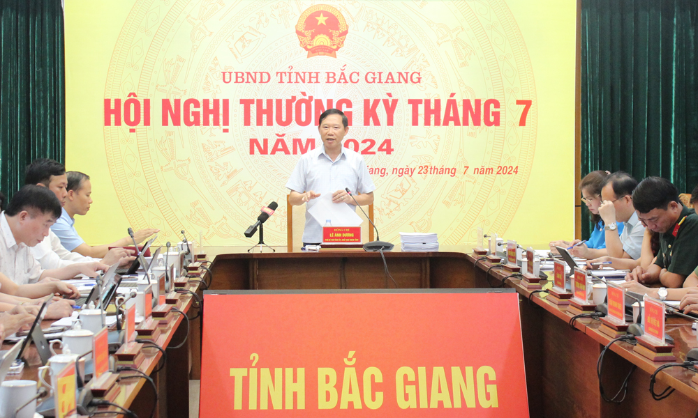 Đồng chí Lê Ánh Dương phát biểu tại hội nghị.