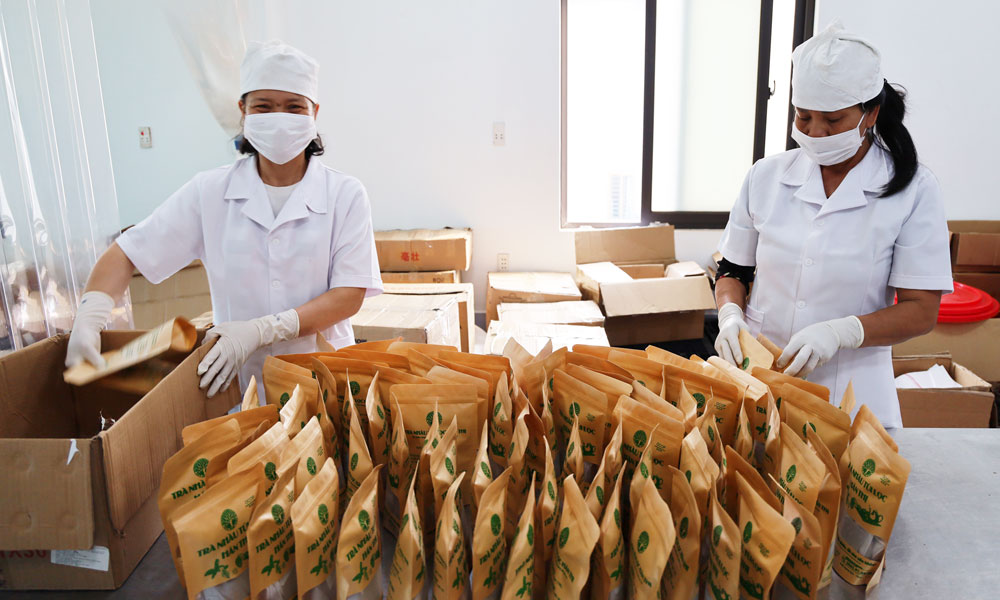Sản phẩm trà Nhàu túi lọc của Hợp tác xã Hán Thị, xã Trung Kênh tham gia chương trình OCOP tỉnh Bắc Ninh năm 2026.
