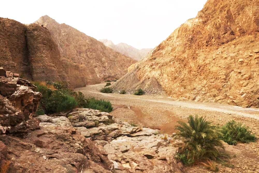 UNESCO đã ghi danh Khu bảo tồn Wadi Wurayah thuộc dãy núi Hajar ở Tiểu vương quốc Fujairah (UAE) vào “bảng vàng” thế giới.