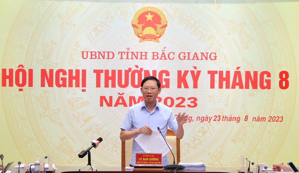 Đồng chí Lê Ánh Dương kết luận hội nghị.