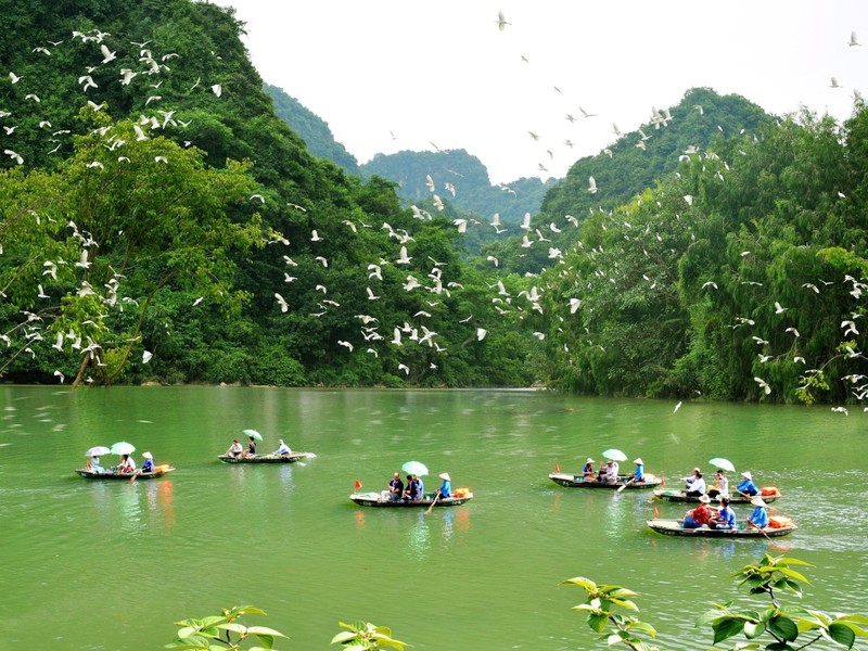 Ảnh minh họa: Du khách tham quan Khu bảo tồn vườn chim Thung Nham (Ảnh: @thungnhamecotourismzone)