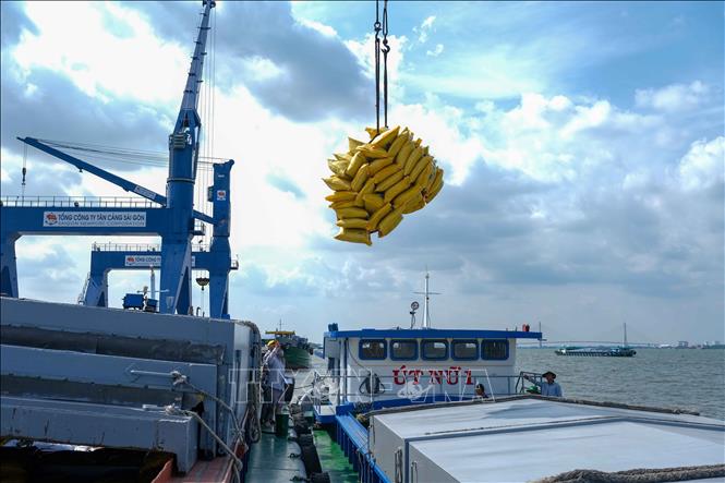 Bốc dỡ hàng hóa tại cảng Tân Cảng Cái Cui, thành phố Cần Thơ. Ảnh: Thanh Liêm/TTXVN