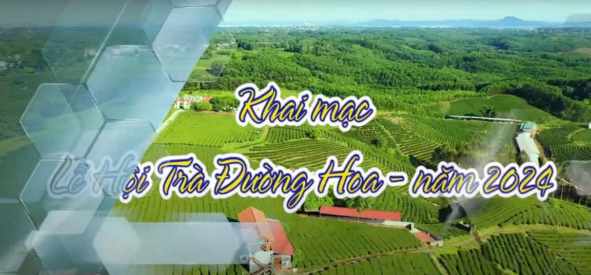 Lùi thời gian tổ chức lễ hội Trà Đường Hoa vì bão số 3. Ảnh: Trung tâm Thông tin Xúc tiến Du lịch tỉnh Quảng Ninh