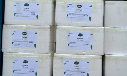 Sản phẩm được đóng gói xuất khẩu.