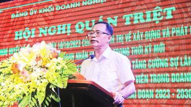 Đồng chí Trần Ngọc Minh, Phó Bí thư Đảng ủy Khối DN tỉnh quán triệt các nghị quyết.