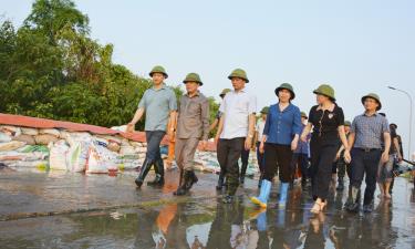 Đồng chí Vương Quốc Tuấn cùng các đồng chí lãnh đạo  kiểm tra công tác chống tràn tại tuyến đê bối Đẩu Hàn, phường Kinh Bắc.