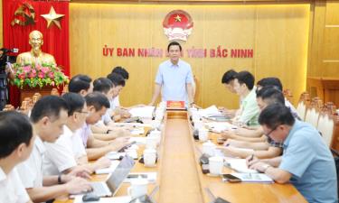 Phó Chủ tịch UBND tỉnh Lê Xuân Lợi phát biểu chỉ đạo.