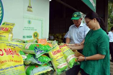 Giới thiệu gạo đặc sản tỉnh Điện Biên tới khách hàng. Ảnh: DIỆP ANH