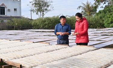 Ông Nguyễn Văn Nam và cán bộ xã Nam Dương kiểm tra chất lượng mỳ tại hộ gia đình thành viên hợp tác xã.