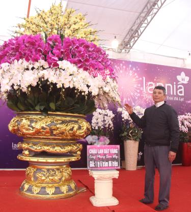 Khách hàng tham quan chậu lan được dát vàng.