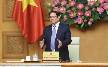 (Ảnh: TRẦN HẢI)
