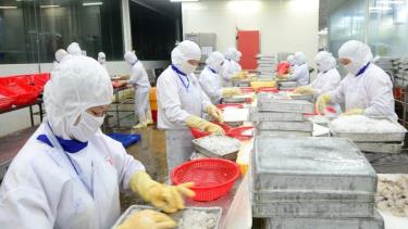 Thủy sản Việt Nam là một trong những mặt hàng có mặt tại hệ thống bán lẻ trên nhiều quốc gia trên thế giới. (Ảnh: ĐỨC AN)