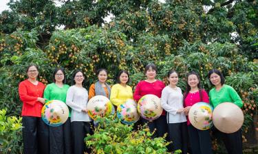 Vườn vải đẹp xã Phúc Hòa hấp dẫn du khách đến tham quan, chụp ảnh