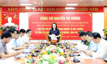Phó Bí thư Thường trực Tỉnh ủy Nguyễn Thị Hương chủ trì và phát biểu tại buổi làm việc.

