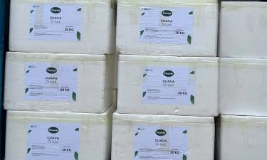 Sản phẩm được đóng gói xuất khẩu.