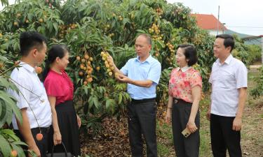 Lãnh đạo Sở Công Thương cùng cán bộ xã Nam Dương tham quan vườn vải thiều sản xuất theo quy trình VietGAP.