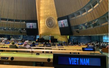 (Ảnh: Hữu Thanh/TTXVN)