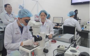 Nghiên cứu khoa học tại Trường đại học Quốc tế Thành phố Hồ Chí Minh thuộc Đại học Quốc gia Thành phố Hồ Chí Minh.