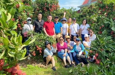 
Du khách thích thú chụp ảnh tại vườn vải.
