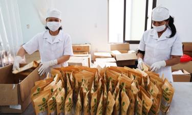 Sản phẩm trà Nhàu túi lọc của Hợp tác xã Hán Thị, xã Trung Kênh tham gia chương trình OCOP tỉnh Bắc Ninh năm 2026.