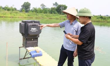 Kiểm tra mô hình nuôi cá rô phi kết hợp của gia đình ông Nguyễn Văn Linh ở thôn Lý, xã Tân Yên