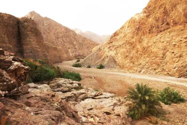 UNESCO đã ghi danh Khu bảo tồn Wadi Wurayah thuộc dãy núi Hajar ở Tiểu vương quốc Fujairah (UAE) vào “bảng vàng” thế giới.