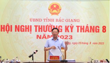 Đồng chí Lê Ánh Dương kết luận hội nghị.