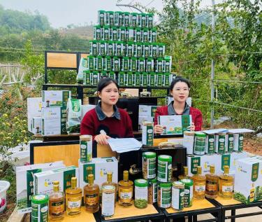 
Các sản phẩm của HTX Sâm núi Dành Đức Hạnh được công nhận OCOP và thường xuyên được tiêu thụ trên các nền tảng thương mại điện tử.